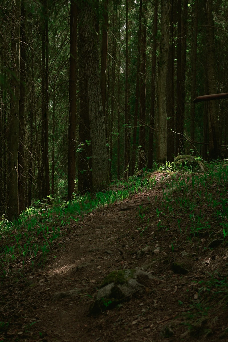 Hiking in the Pacific Northwest
